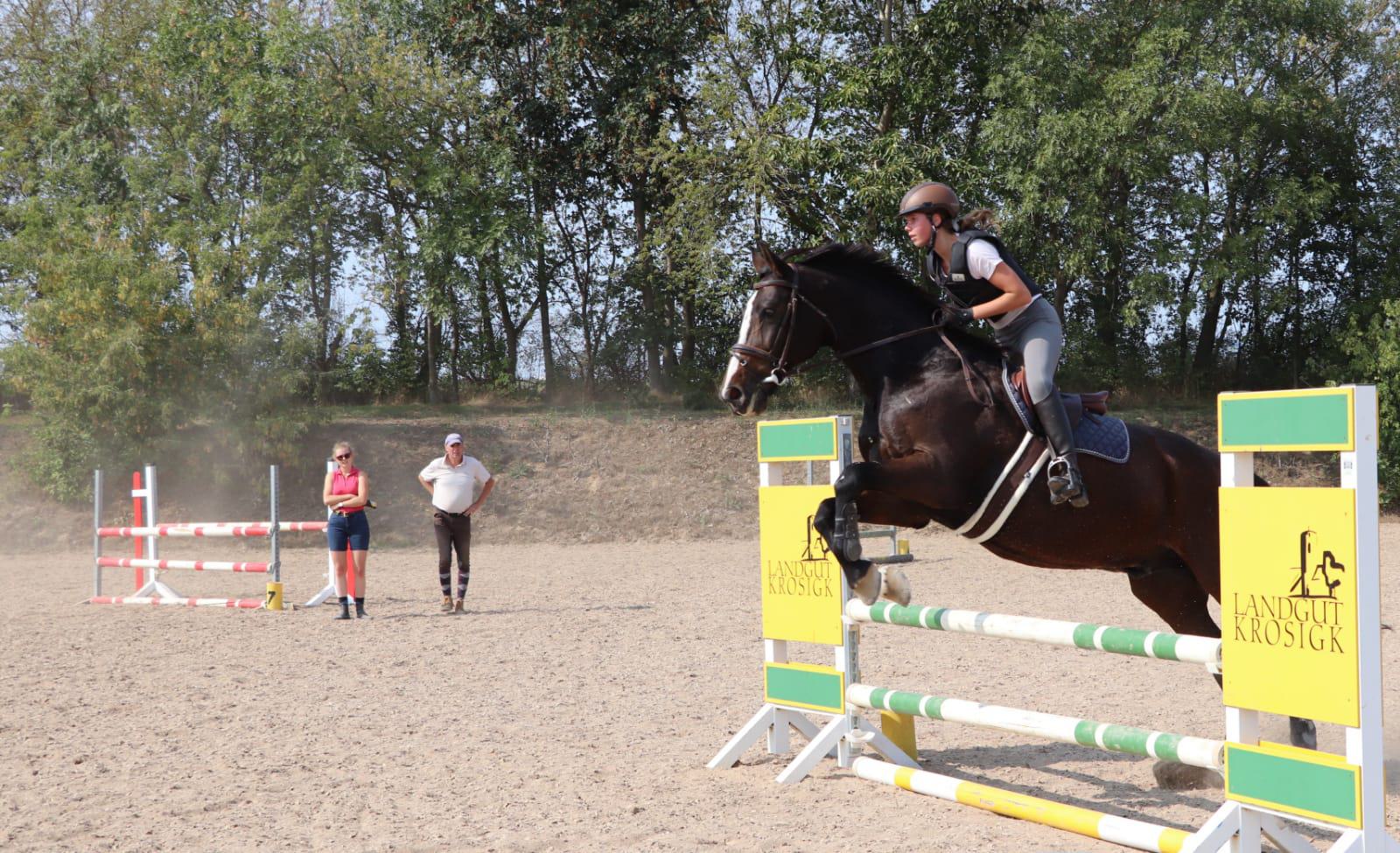 WhatsApp Image 2020-09-13 at 07.38.39-3.jpeg