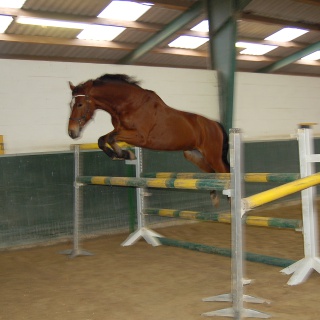 19_12 Freispringen.jpg