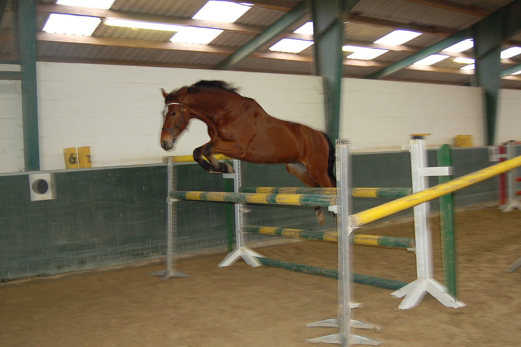 19_12 Freispringen.jpg