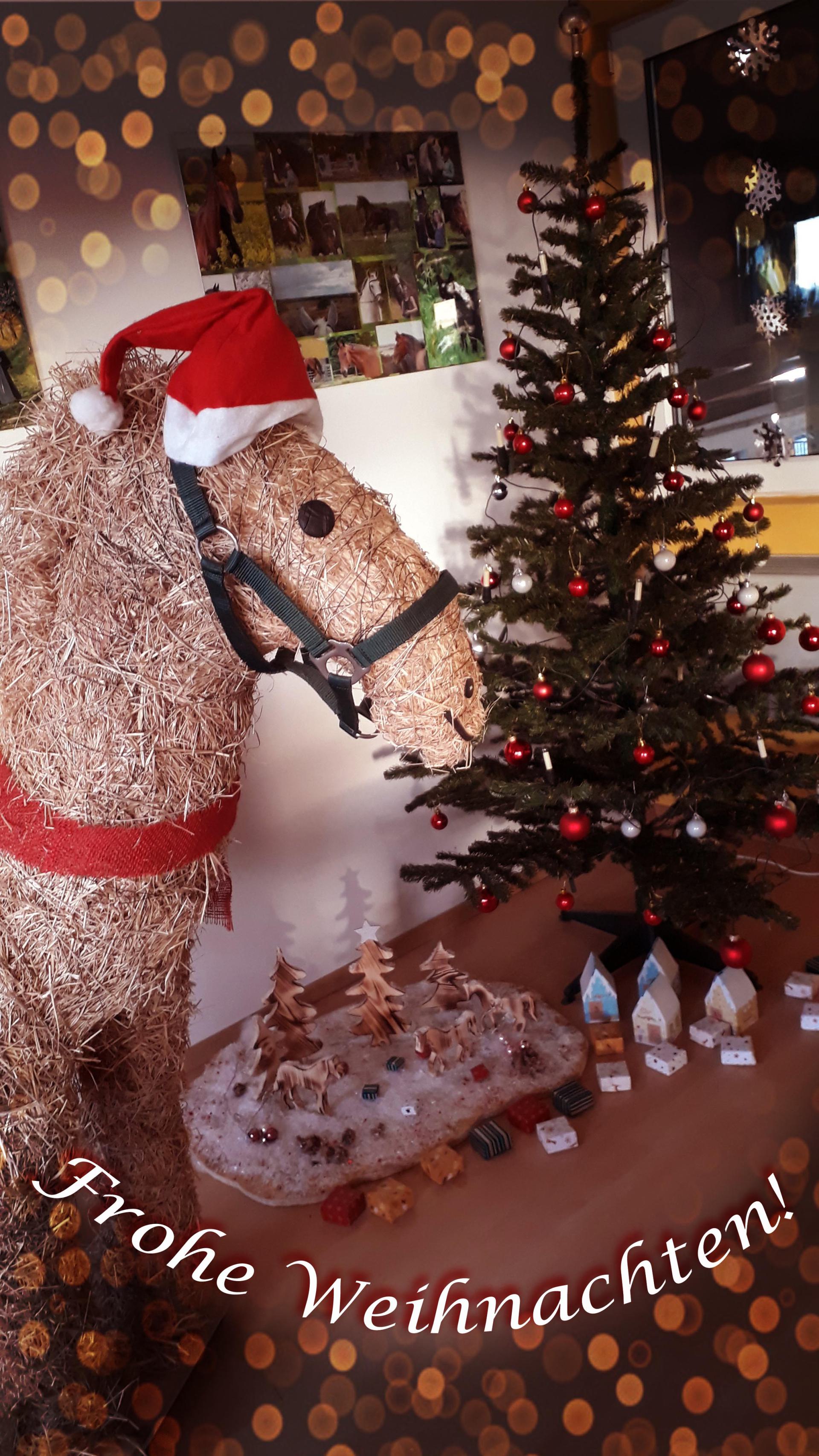 Weihnachtsgruß 2019.jpg