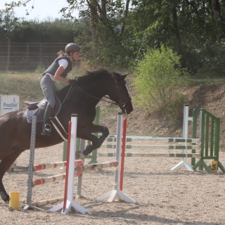 WhatsApp Image 2020-09-13 at 07.38.39-2.jpeg