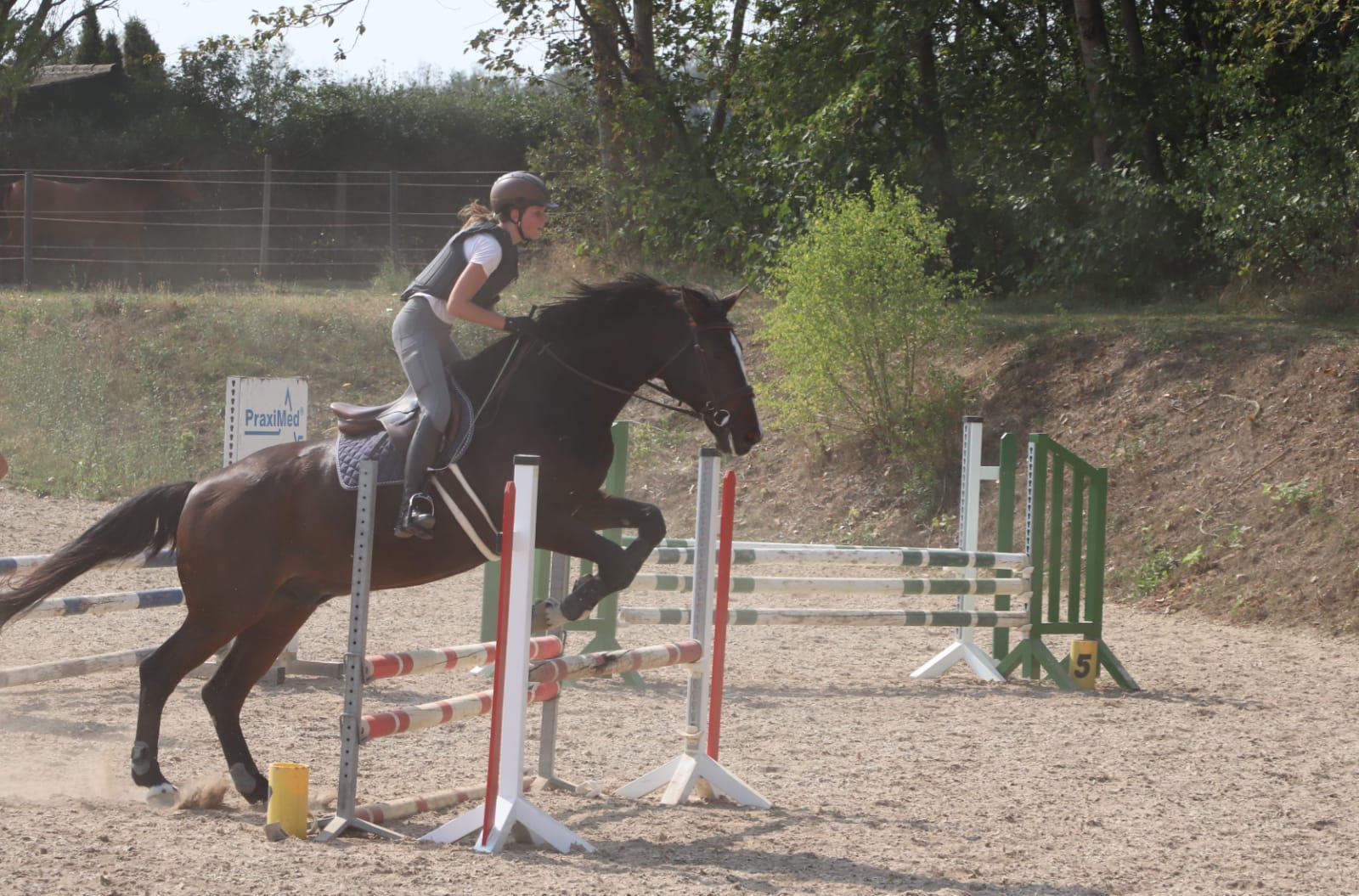 WhatsApp Image 2020-09-13 at 07.38.39-2.jpeg