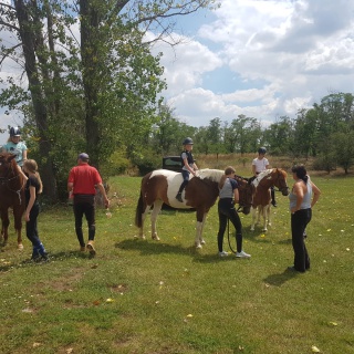 WhatsApp Image 2020-07-18 at 20.46.05.jpeg