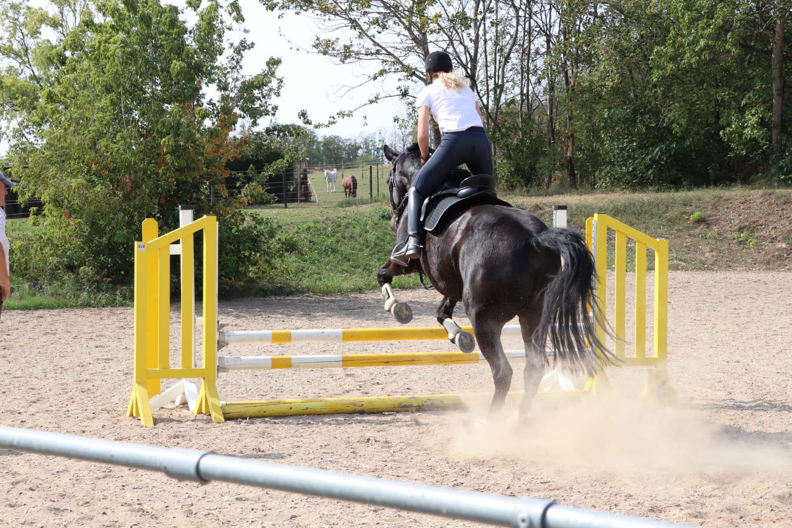 WhatsApp Image 2020-09-13 at 07.38.41-2.jpeg