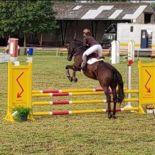 WhatsApp Image 2021-09-13 at 08.57.07.jpeg