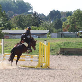 WhatsApp Image 2020-09-13 at 07.38.39-4.jpeg