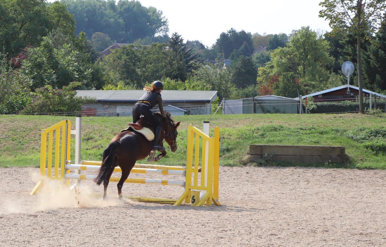 WhatsApp Image 2020-09-13 at 07.38.39-4.jpeg